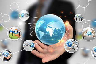 王思聰商業版圖再添新板塊 入股企業管理公司 拓展工程服務領域